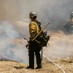 Bomberos apagando un fuego forestal.