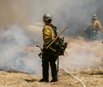 Bomberos apagando un fuego forestal.