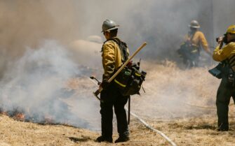 Bomberos apagando un fuego forestal.