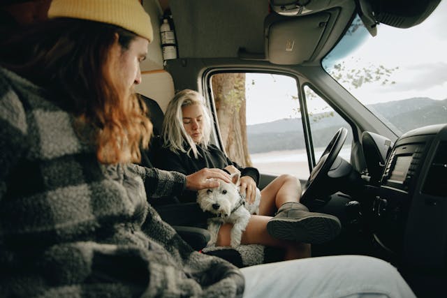 Pareja viajando con su mascota después de consultar los precios