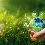 Economía verde y economía ecológica